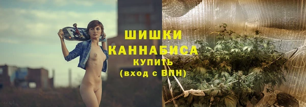 сатива Армянск