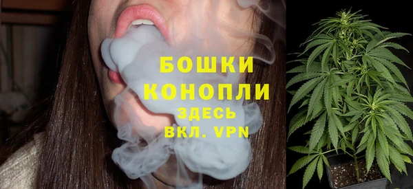 шишки Баксан