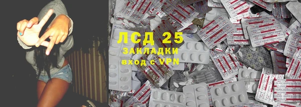 PSILOCYBIN Балахна