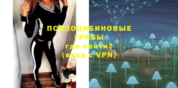 PSILOCYBIN Балахна