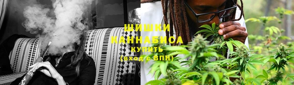 PSILOCYBIN Балахна