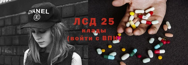 шишки Баксан